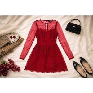 Red Lace Fit Flare Dress Sheer Polka Dot Mesh Sleeve Whimsigoth Fairy Goth 4